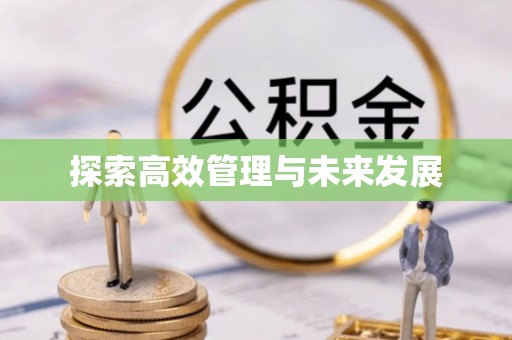南浔探索高效管理与未来发展
