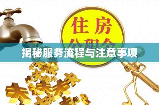 南浔揭秘服务流程与注意事项